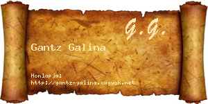 Gantz Galina névjegykártya